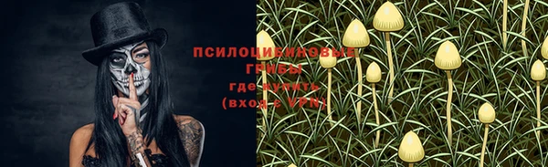 spice Абинск