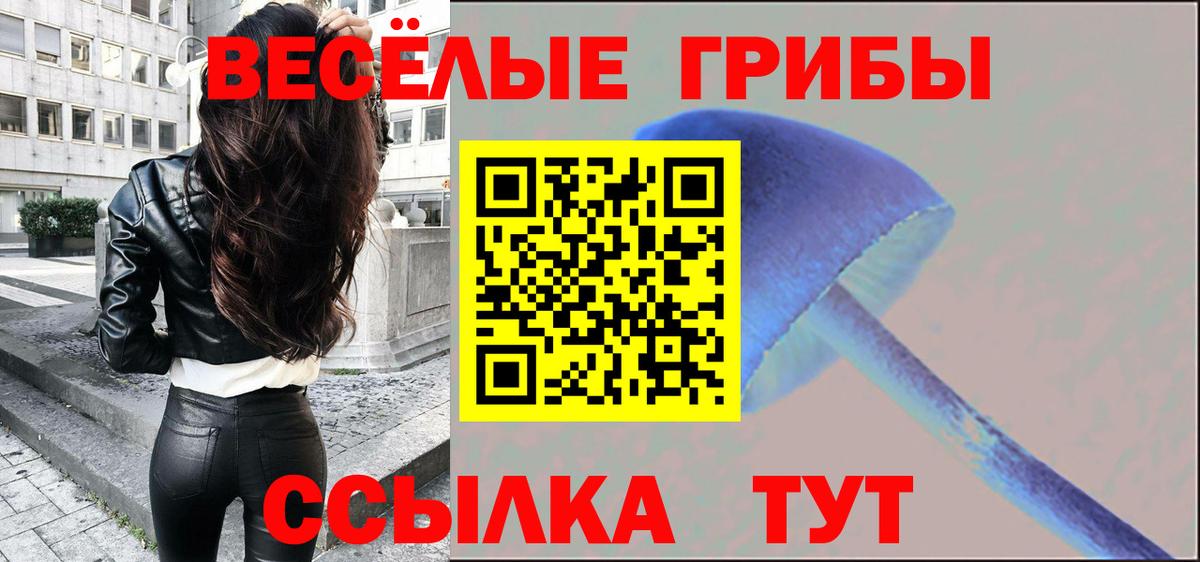 Псилоцибиновые грибы мицелий  Вход с VPN  Галлюциногенные грибы GOLDEN TEACHER  купить закладку  Карасук 